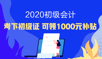 2020年贵州初级会计资格审核：后审形式